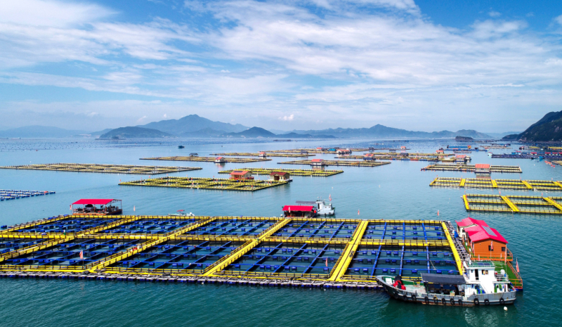 皇冠博彩召开2026年一季度“开门红”工作调度会议